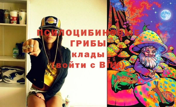 дмт Алексеевка