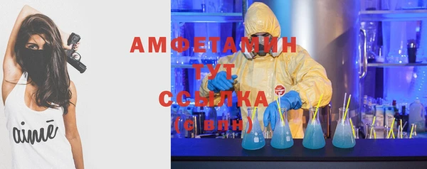 молекула духа Алексин