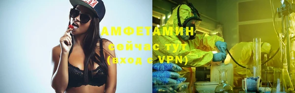 молекула духа Алексин