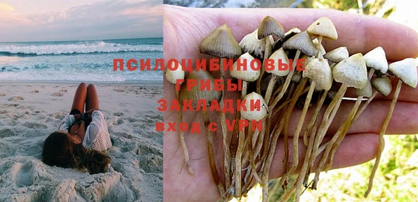 молекула духа Алексин
