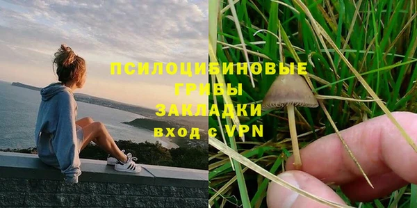 гашик Алзамай