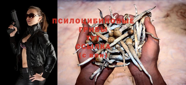 дмт Алексеевка