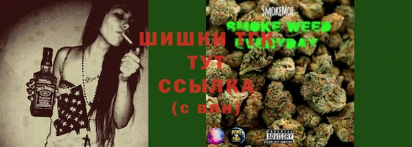 молекула духа Алексин