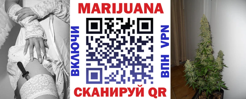 Канабис OG Kush  Перевоз 